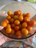 京喜加夏日阳光小番茄黄色迷恋圣女果即食水果小柿子现摘现发减肥 黄色圣女果五斤装 实拍图