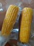 十月稻田 黄甜糯玉米 8根 3.52斤 真空包装 东北粘玉米棒 低脂早餐 实拍图