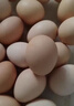 京鲜生鲜鸡蛋10枚/盒 健康轻食 营养健康1斤/盒 源头直发  实拍图
