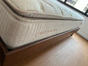 林芃家品（LYNPON HOUSEWARE）林芃云宿席梦思椰棕乳胶护脊腰国家补贴独立弹簧床垫1.5x2米偏硬 实拍图