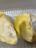 佳农泰国冷冻金枕榴莲肉净重900g/袋 单袋装 榴莲 生鲜水果 实拍图