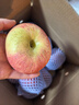 京鲜生 塞外红阿克苏苹果礼盒 净重10斤 果径80-85mm  实拍图