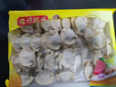 湾仔码头白菜三鲜猪肉水饺1320g66只早餐速食面点速冻饺子 实拍图
