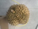 京鲜生 进口金枕头榴莲 2-4个装 总净重14斤以上 鲜果 生鲜 新鲜水果 实拍图