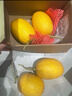 京鲜生 黄金哈密瓜 2粒 单果2.5斤起 净重6-8斤 生鲜水果礼盒 实拍图