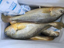 鸿顺【冰鲜】黄花鱼4条4斤 生鲜鱼类 宁德大黄鱼 地标产品 源头直发 实拍图