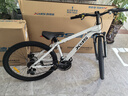 喜德盛（xds）山地自行车黑客350/旭日310 X6铝合金车架21速变速机械碟刹 旭日310象牙白15.5寸 实拍图