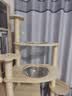 派阿哥松木猫爬架实木太空舱猫窝大型豪华剑麻猫树一体猫咪跳台猫170CM 实拍图