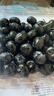 云南高山大蓝莓125g 18mm 实拍图
