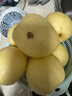 京鲜生 河北鸭梨 地标产品 净重5斤 单果250g+ 生鲜水果礼盒 实拍图