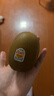 佳沛（zespri）新西兰  阳光金奇异果10粒礼盒巨大果单果约144-175g 水果 猕猴桃 实拍图