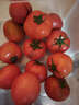 京鲜生 山东海阳普罗旺斯净重4.5斤单果150g起新鲜沙瓤西红柿源头直发 实拍图