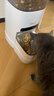 霍曼（Homerun）AI智能宠物自动喂食器视频版 猫狗喂食定时定量摄像头可视 64G卡 实拍图