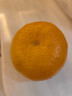 京鲜生 浙江涌泉蜜桔 净重4.5-5斤 单果65-75mm 桔香浓郁 源头直发包邮 实拍图