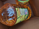 金龙鱼 食用油 非转基因 物理压榨玉米油6.18L（蕴含植物甾醇） 实拍图
