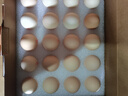 圣迪乐村 OMEGA-3鲜鸡蛋20枚礼盒装净重2斤 儿童宝宝鸡蛋牛奶早餐搭档  实拍图