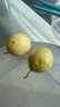 鲜青录广西黄金百香果钦蜜9号新鲜水果黄色白香果西番莲鸡蛋果 净重1斤（单果60-70g） 实拍图