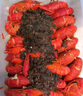 1号会员店（One's Member） 十三香小龙虾2.4斤(4-6钱)  22-25只/600g*2盒 山姆同厂 赠面条 实拍图