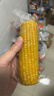 京鲜生 东北黄玉米260g*10棒 真空包装黏玉米棒粘玉米 源头直发 实拍图