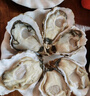 鲜京采 鲜活生蚝3XL 净重5斤 13-18只 鲜活到家 生鲜海鲜 源头直发 实拍图