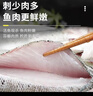 鲜京采三去海鲈鱼3斤/3条 生鲜鱼类 白蕉鲈鱼地标 鱼类源头直发 实拍图
