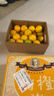 褚橙 云南冰糖橙  优级果 L 10斤装 单果约130g起 生鲜水果礼盒 实拍图