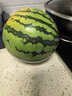 京鲜生 麒麟西瓜 1粒净重7-8斤 生鲜水果源头直发包邮 实拍图