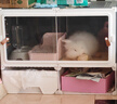 蔻丝狗笼子小型犬带厕所分离狗别墅比熊柯基泰迪狗舍 实拍图