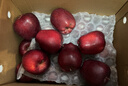 京鲜生 甘肃天水花牛苹果 又大又红 净重10斤 单果200g以上 新鲜水果  实拍图