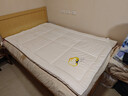 京东京造阿金朵100%新疆棉花床垫 纯棉床垫床褥 1.2x2m 实拍图