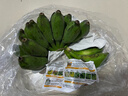 新鲜现摘香蕉小米蕉青皮发货放熟吃新鲜水果 小米蕉 2斤 实拍图