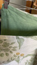 艾薇 A类枕头套枕套一对纯棉家用全棉单人枕套枕芯套 绿野仙踪48*74cm 实拍图