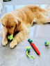 柒哦狗狗玩具大礼包发声自嗨解闷磨牙耐咬神器宠物泰迪比熊小型狗幼犬 自嗨解闷（4件套） 实拍图