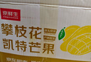 京鲜生 攀枝花凯特芒果 净重8.5斤 带箱9斤 单果500g+ 生鲜水果源头直发 实拍图