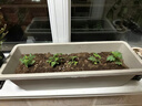 九千谷 种植盆阳台长方形种菜盆种花盆灰白色2个装霍伦盆带吸水盘4153 实拍图