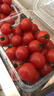 京鲜生＆富美鹤城 樱桃番茄净重430g*2盒 脆甜小西红柿 源头直发 实拍图
