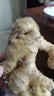 贵州高山小黄姜嫩姜鲜姜醋泡姜红芽姜当季蔬菜先挖非云南黄姜批发 净重一斤 500g 实拍图