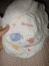 好奇（Huggies）金装拉拉裤L124片(9-14kg)尿不湿【速干不易红】 实拍图