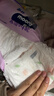 MOONY尤妮佳小羊驼拉拉裤XXXL22片(≥18kg)大宝加大号干爽大吸量 实拍图