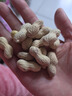 沙土吊炉花生多种口味带壳小珍珠吊炉烤花生果山东休闲零食家庭实惠装 5斤奶油味小珍珠花生 实拍图