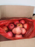 京鲜生 山东烟台红富士苹果 净重5斤 果径75mm+ 新鲜水果 源头直发 实拍图