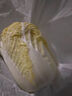 【霜打菜】三宝白菜650g(大娃娃菜) 实拍图