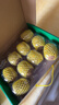 佳沛（zespri）新西兰  阳光金奇异果10粒礼盒巨大果单果约144-175g 水果 猕猴桃 实拍图