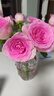 京东鲜花产地仓严选玫瑰颜色随机家庭插花随机玫瑰10枝源头直发 实拍图