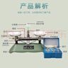 舜江 托盘天平 学生用架盘秤 中学初中物理实验器材教学仪器 量程200g托盘天平附带砝码  实拍图