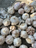 紫白皮蒜水果大蒜超市即食生鲜蔬菜大蒜 【精选】净重 2.8斤 单果3.5-5cm 实拍图
