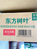 农夫山泉 东方树叶绿茶500ml*15瓶无糖茶饮料0糖0脂0卡整箱装解渴饮品 实拍图