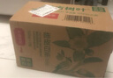 农夫山泉【重磅新品】东方树叶 陈皮白茶500ml*15瓶 无糖茶饮料 实拍图