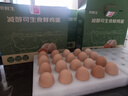 京鲜生减醇可生食鸡蛋20枚/盒 2斤 无抗鲜鸡蛋 源头直发 实拍图