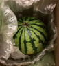 京鲜生 无籽麒麟西瓜 1粒装 单果5-7斤 生鲜水果 实拍图